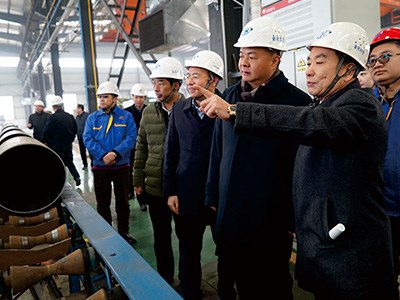 衡陽市委書記、市人大常委會主任鄭建新視察金化高容